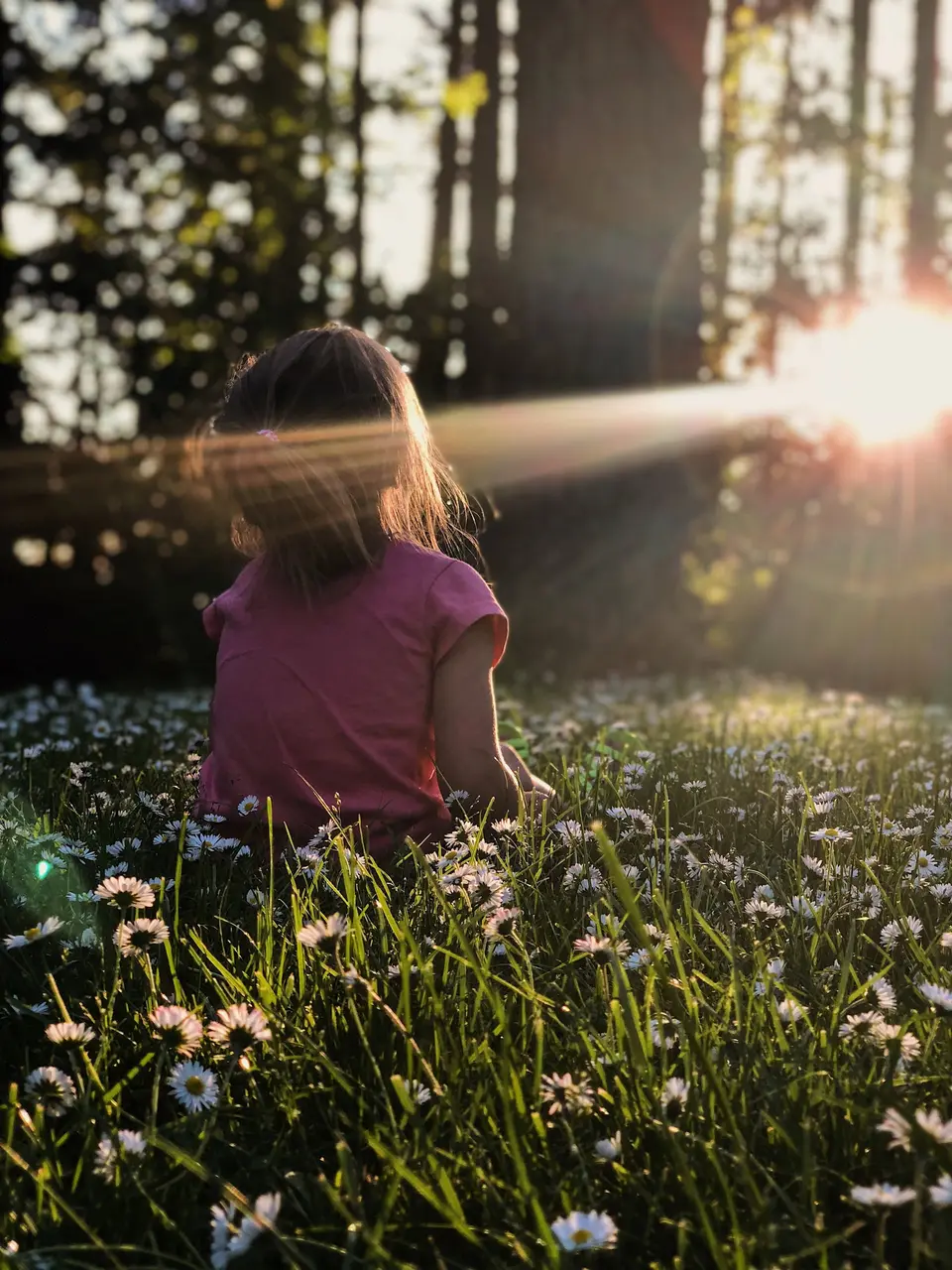 Niña sentada a contraluz en un prado en flor